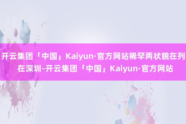 开云集团「中国」Kaiyun·官方网站稀罕两状貌在列  在深圳-开云集团「中国」Kaiyun·官方网站