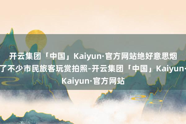 开云集团「中国」Kaiyun·官方网站绝好意思烟花秀招引了不少市民旅客玩赏拍照-开云集团「中国」Kaiyun·官方网站